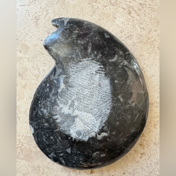 Orthoceras Fossil Ammonite Stone Jewelry Tray Handcarved - Picture 2 of 6